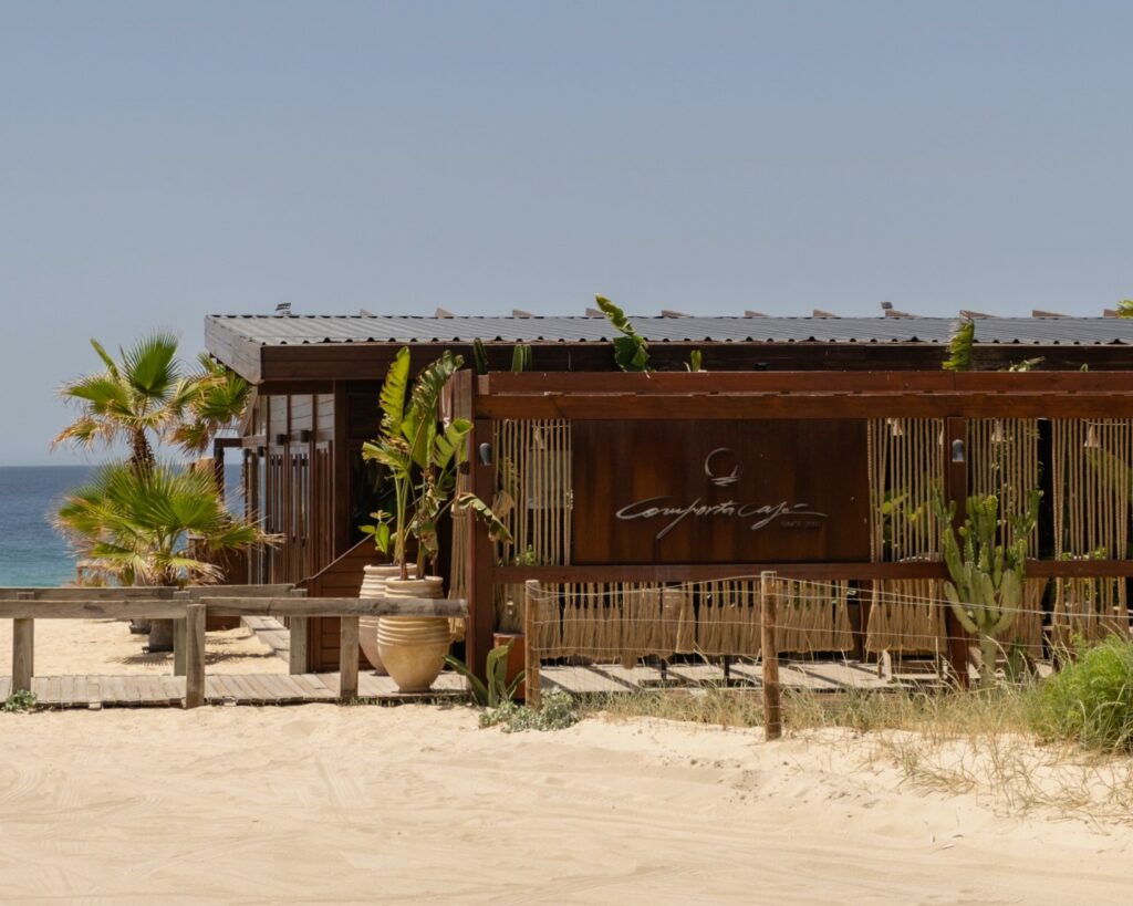 Charming beachfront café with wood architecture, palm trees, and a serene ocean view, perfect for relaxation and dining.