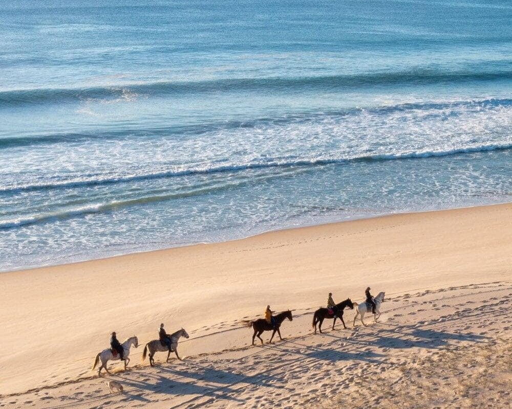 Horseback riders stroll along a sandy beach, with gentle waves lapping at the shore under a clear blue sky.